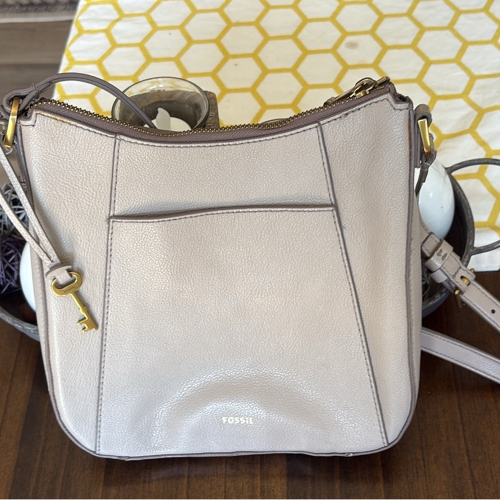 Fossil Crossbody Bag with Gold-Tone Hardware